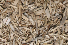 biomass boilers East Sussex